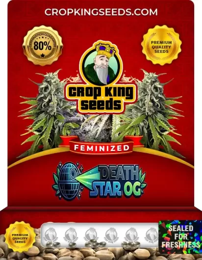death-star-og-image