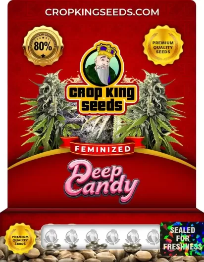 deep-candy-image