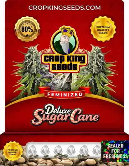 deluxe-sugar-cane-image