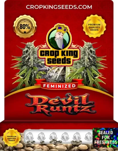devil-runtz-image