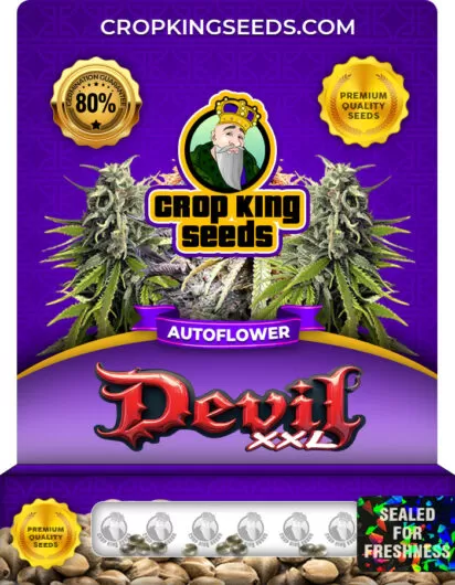 devil-xxl-autoflower-image