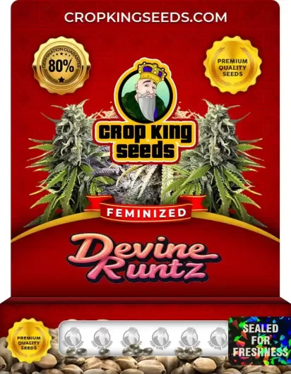 devine-runtz-image