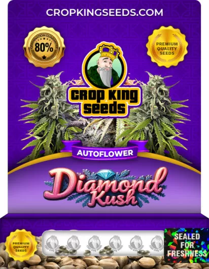 diamond-kush-autoflower-image