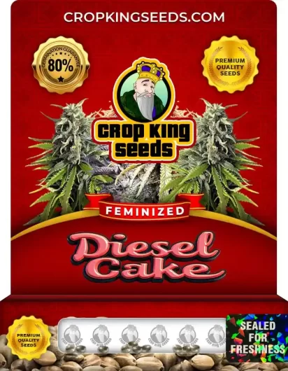 diesel-cake-image