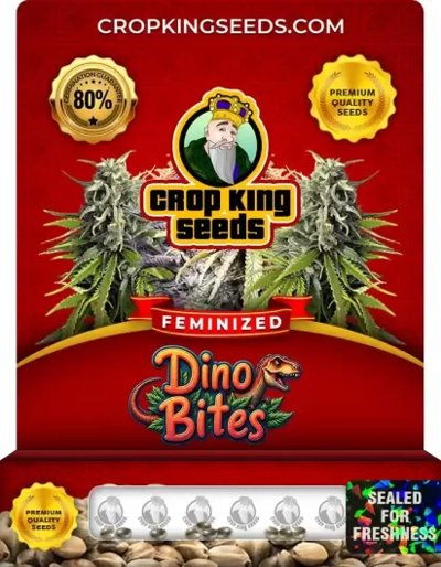 Dino Bites