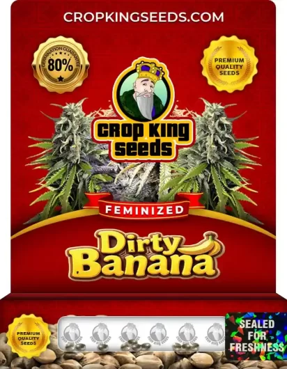 dirty-banana-image