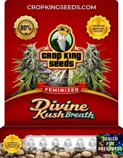 divine-kush-breath-image