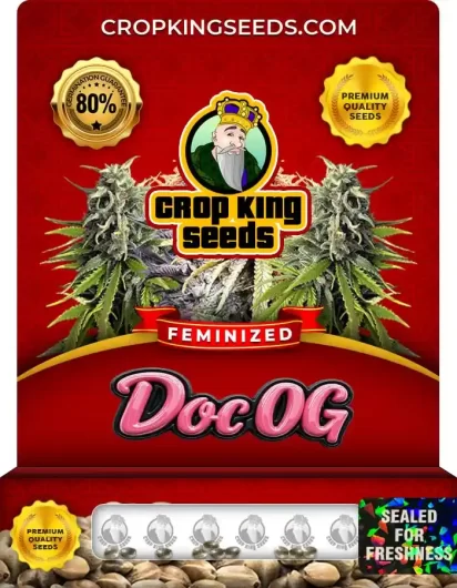doc-og-image