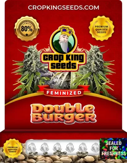 double-burger-feminized-image