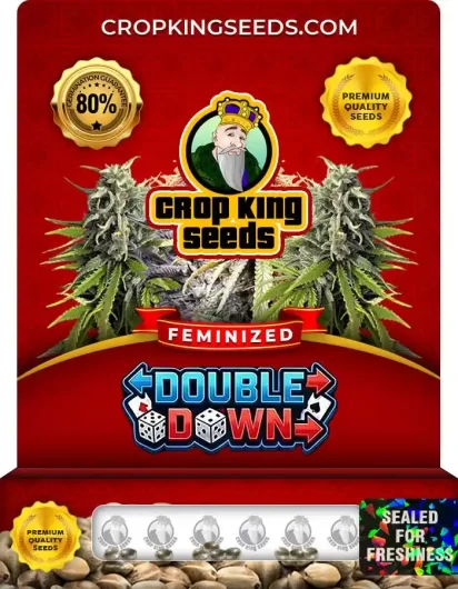 double-down-image
