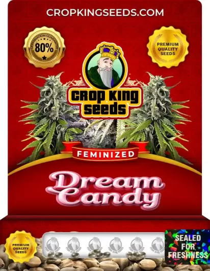 dream-candy-image