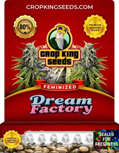dream-factory-image