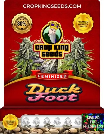 Duck Foot