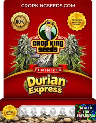 Durian Express