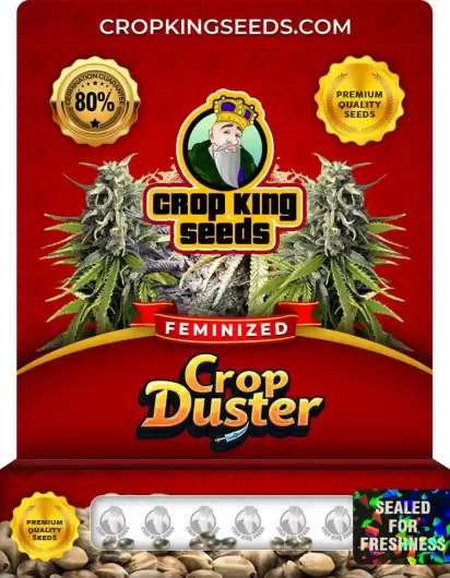 duster-image