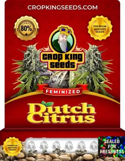 Dutch Citrus