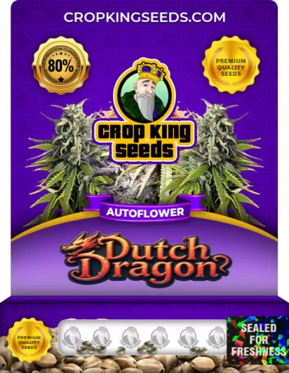 dutch-dragon-autoflower-image