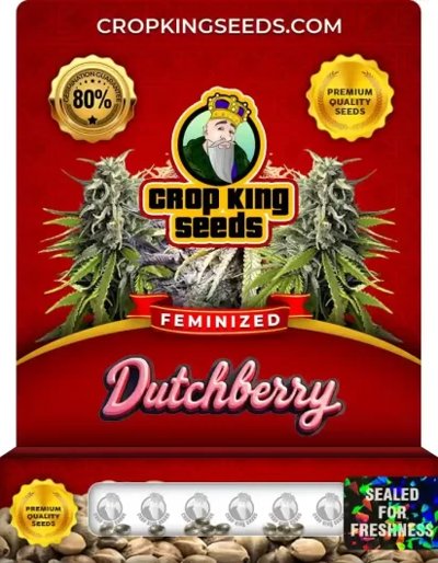 Dutchberry