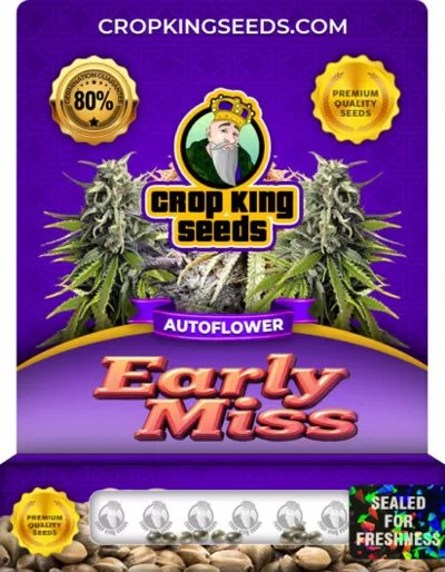Early Miss Autoflower