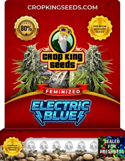 electric-blue-image