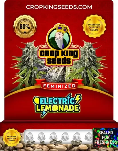 electric-lemonade-image