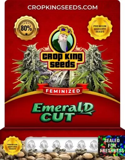 Emerald Cut