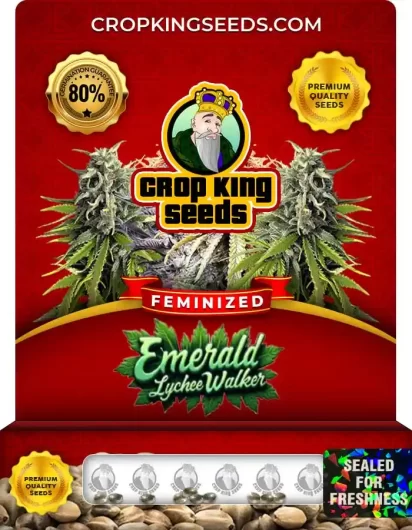 emerald-lychee-walker-image