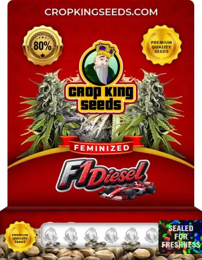 f1-diesel-image
