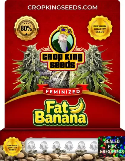 fat-banana-image