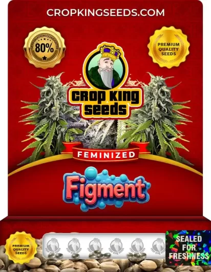 figment-image
