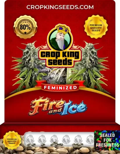 fire-and-ice-image