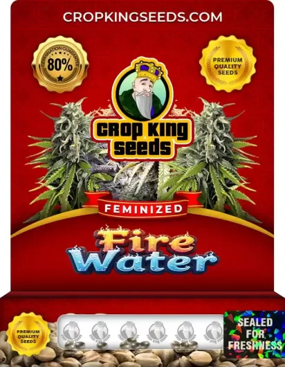 fire-water-image