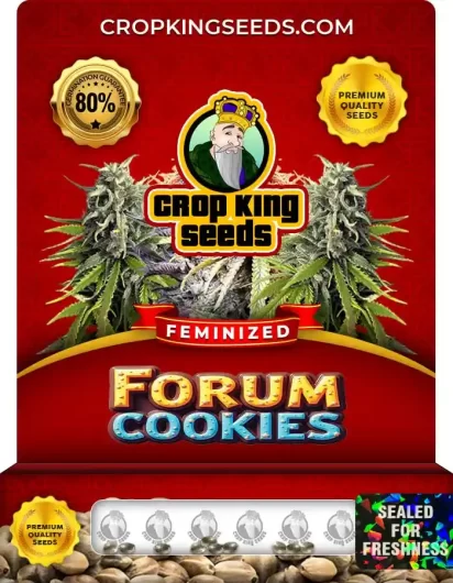 forum-cookies-image