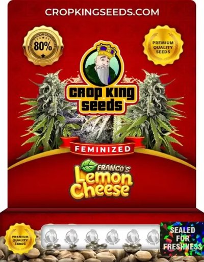 Franco’s Lemon Cheese