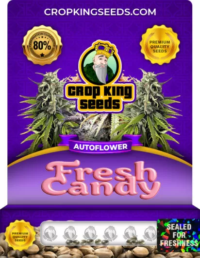 fresh-candy-autoflower-image