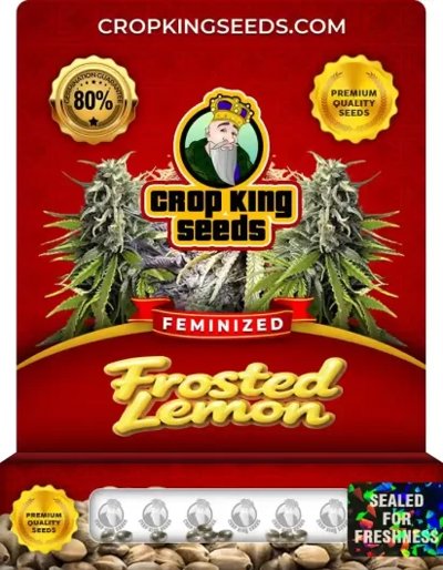 Frosted Lemon