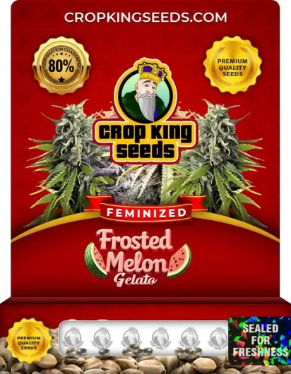 frosted-melon-gelato-image