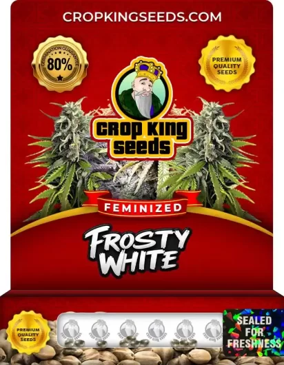 frosty-white-image