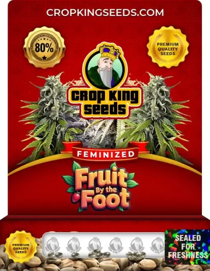 fruit-by-the-foot-image