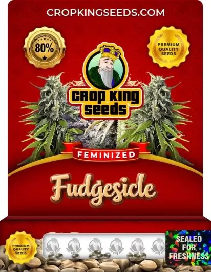 fudgesicle-image