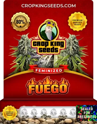 fuego-image