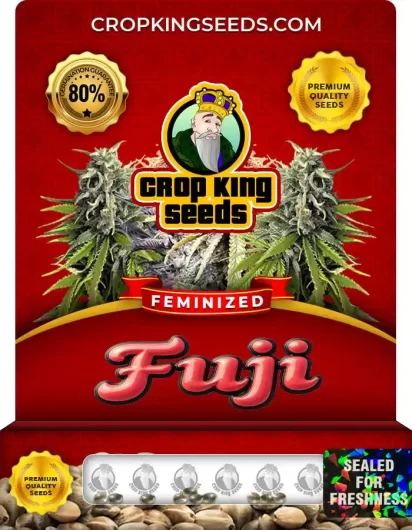 fuji-image