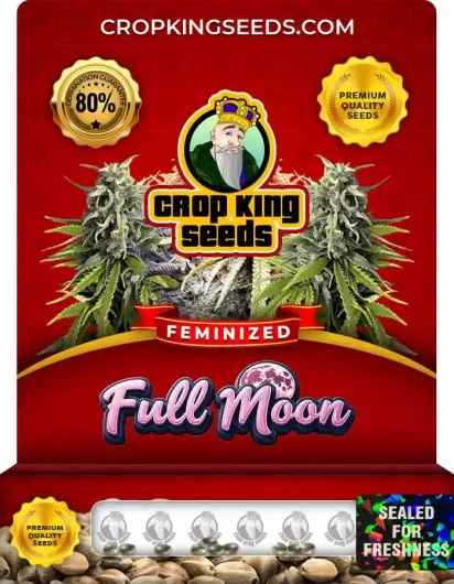 full-moon-image
