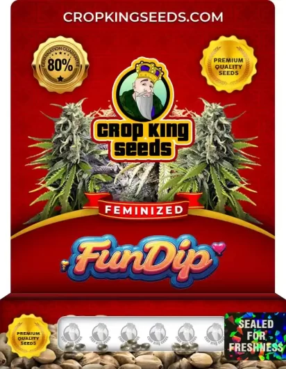 fun-dip-image