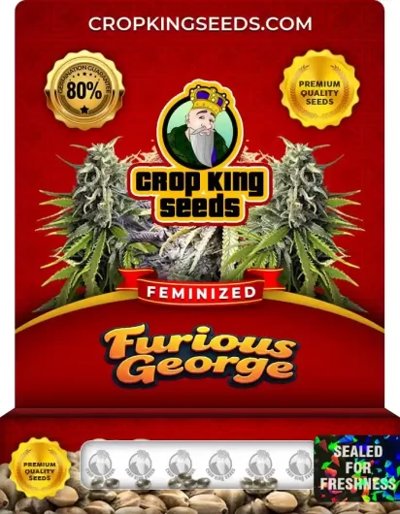 Furious George