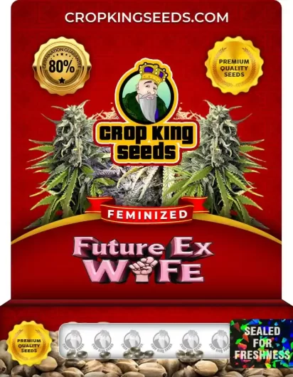 future-ex-wife-image