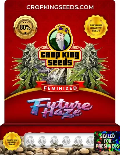 future-haze-image