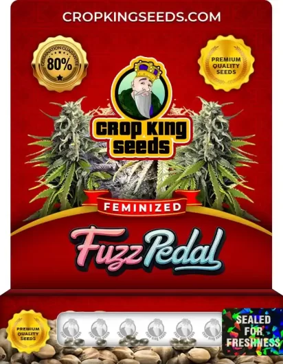 fuzz-pedal-image