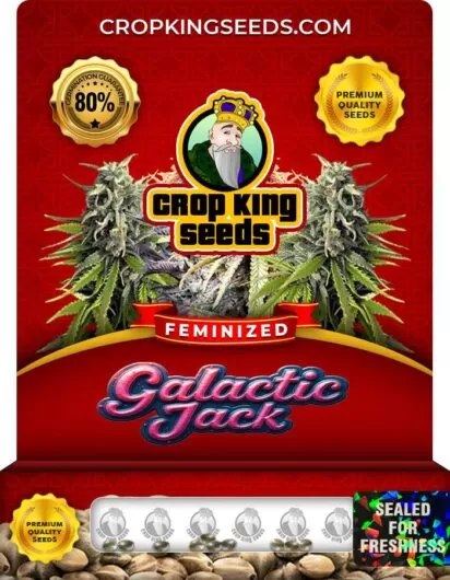 galactic-jack-image