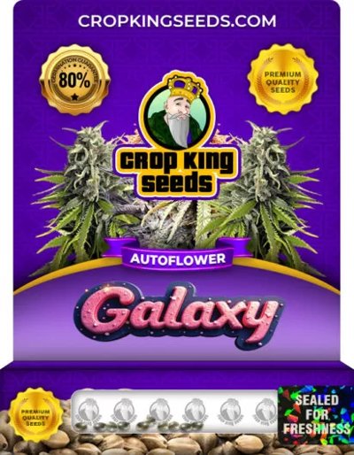 Galaxy Autoflower